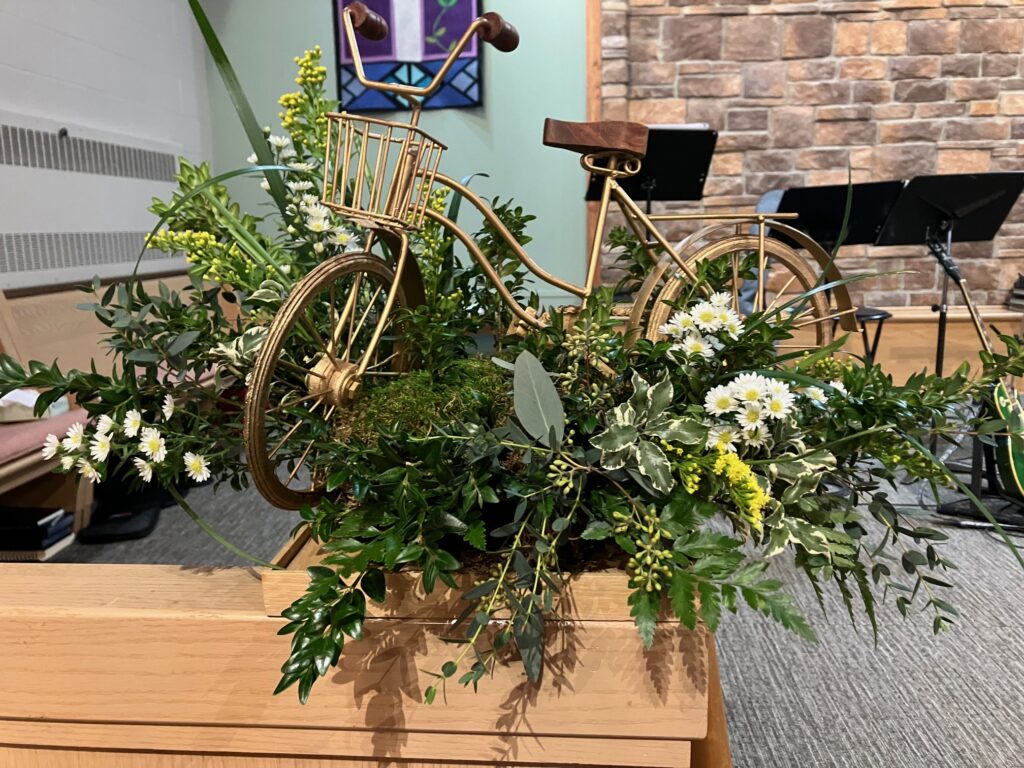 wolf creek floral