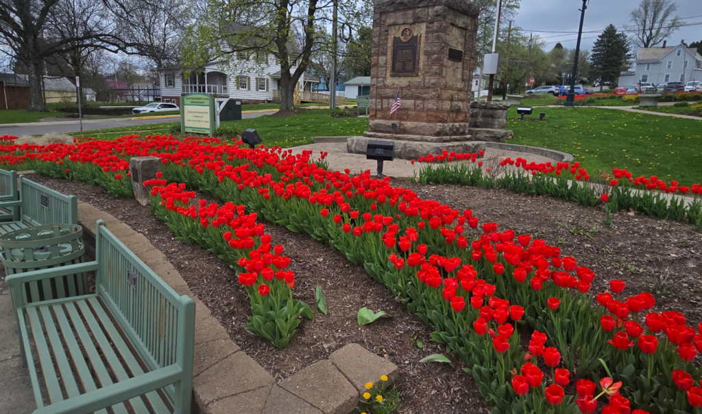 Service & Partnerships slippery rock university(7)