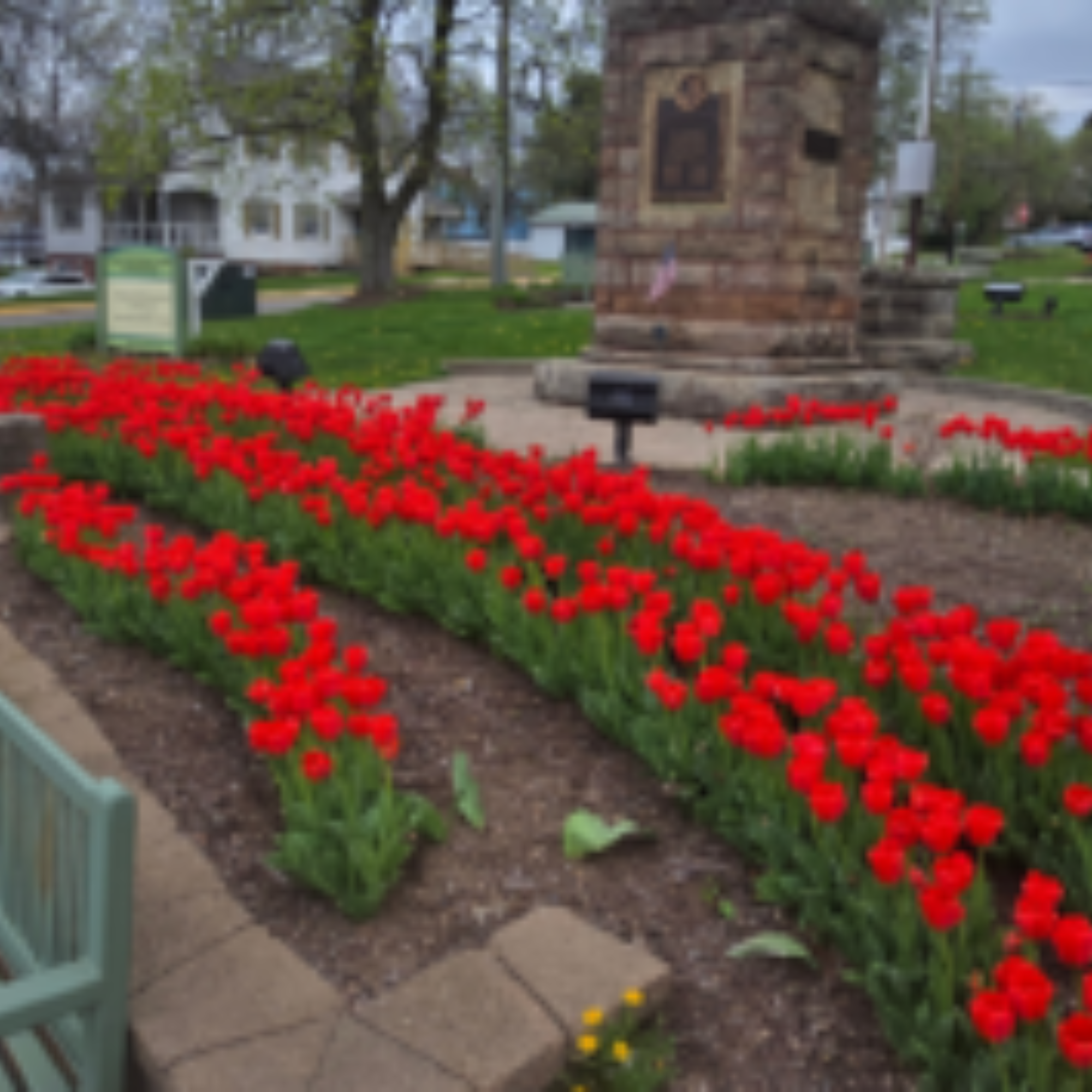 7280 District Newsletter May 2026 untitled design(53)